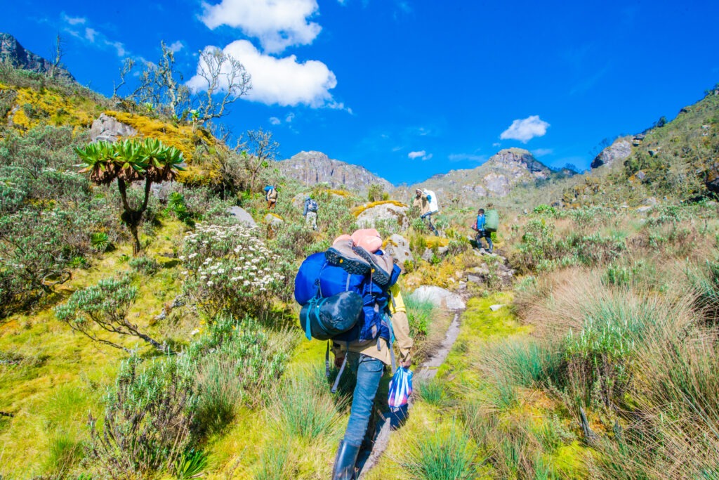 rwenzori trekking hike