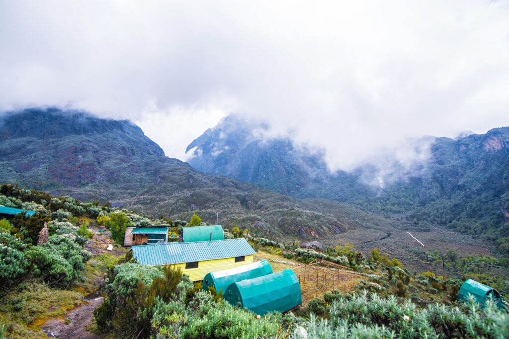 rwenzori trekking camp