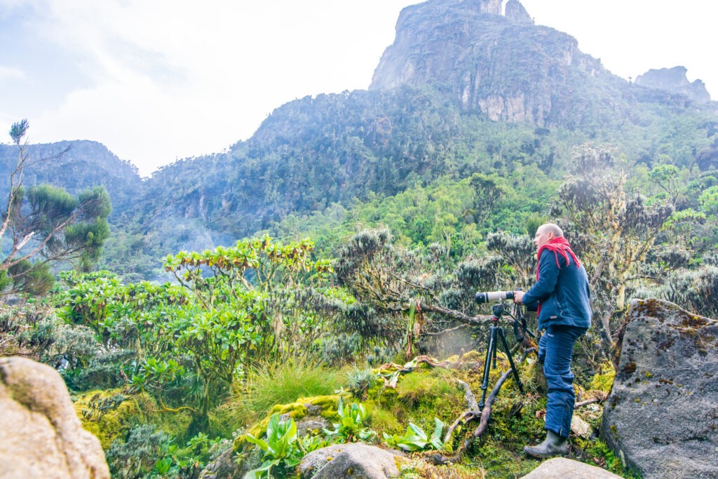 rwenzori trek