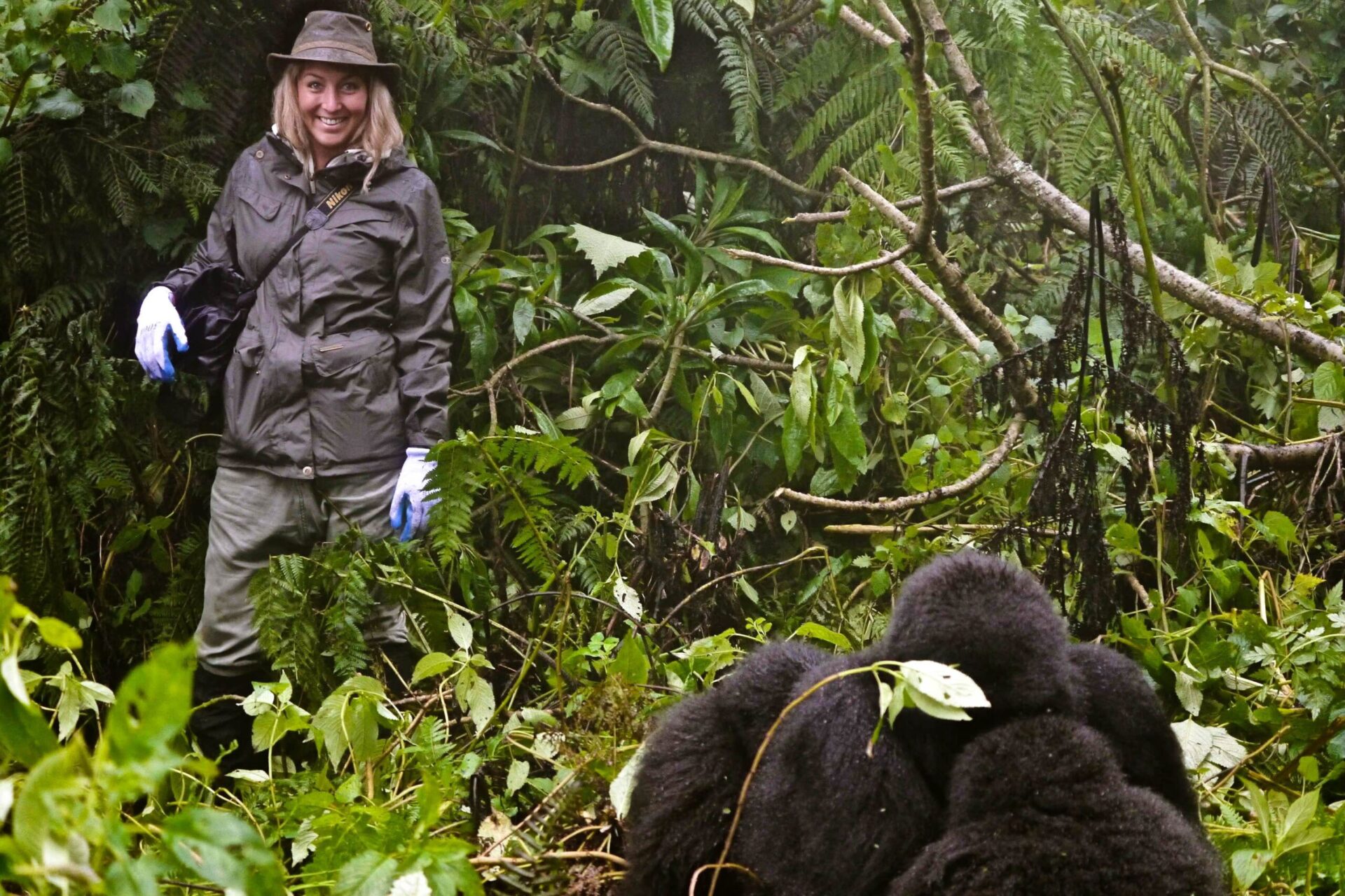 Best Place to See Mountain Gorillas in the Wild