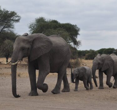 Big Five